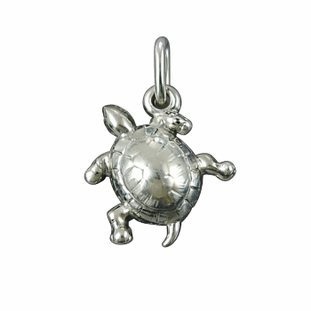 ΧΕΛΩΝΑ ΑΣΗΜΕΝΙΑ 925