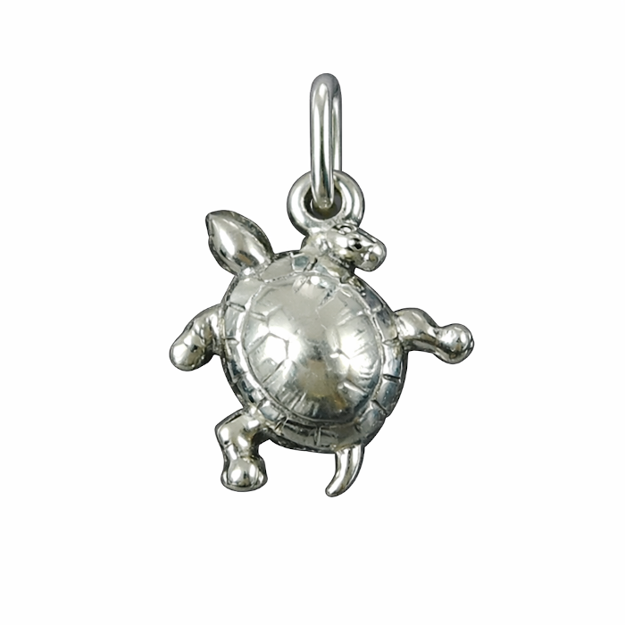 ΧΕΛΩΝΑ ΑΣΗΜΕΝΙΑ 925