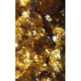 ΓΟΜΑΛΑΚΑ ΓΟΜΑΛΑΚΑ