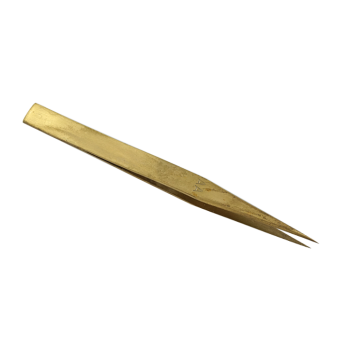 ΤΣΙΜΠΙΔΑ ΑΑ ΜΠΡΟΥΤΖΙΝΗ