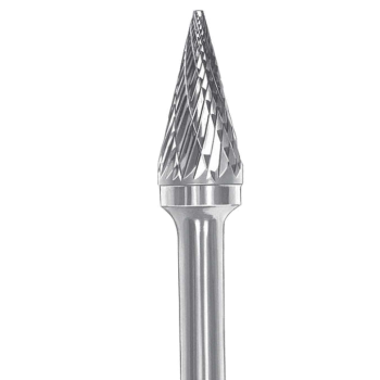 ΦΡΕΖA ΚΑΡΒΙΔΙΟΥ ΚΩΝΙΚΗ MEDIUM