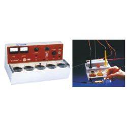 ΕΠΙΜΕΤΑΛΛΩΣΗΣ