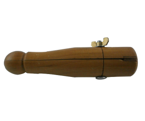 ΜΕΓΓΕΝΗ ΔΑΧΤΥΛΙΔΙΩΝ ΜΕ ΒΙΔΑ ΠΛΑΓΙΑ