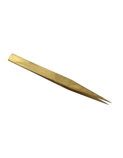 ΤΣΙΜΠΙΔΑ ΑΑ ΜΠΡΟΥΤΖΙΝΗ