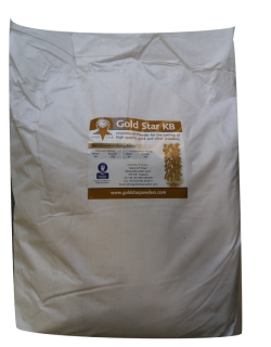 ΓΥΨΟΣ ΧΡΥΣΟΧΟΙΑΣ